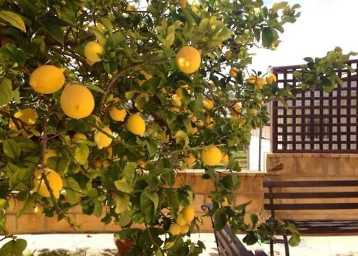 Villa Mara B&B