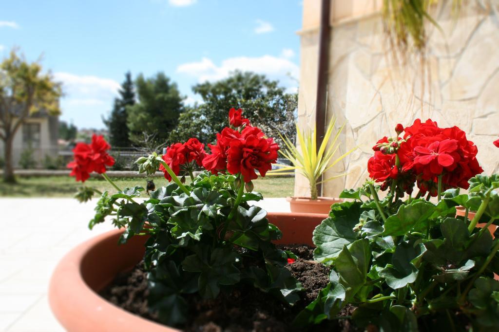 Bed & Breakfast Mara Noto