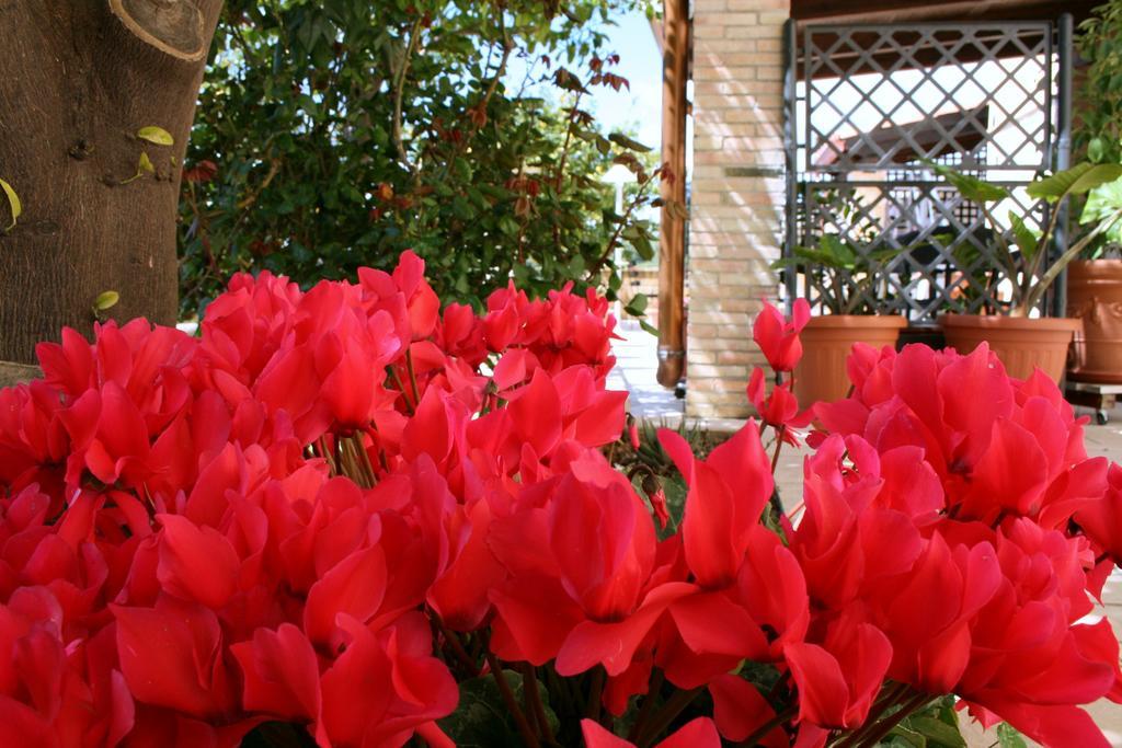 Mara Bed & Breakfast Noto